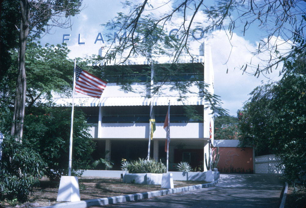Flamingo front