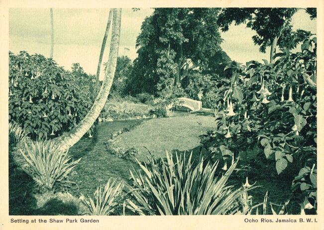 Shaw Park Postcard Book 07