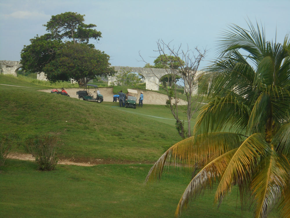 Rosehall 2014 2