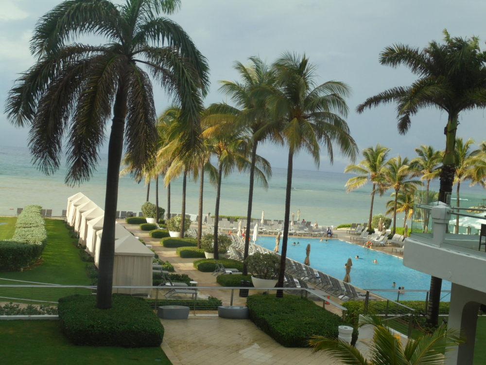 Rosehall 2014 4
